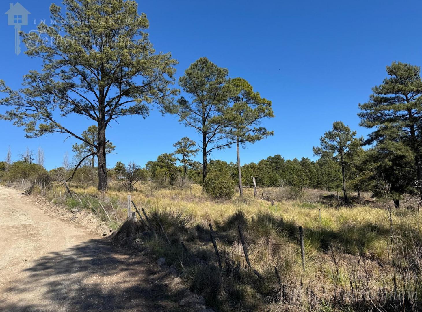 Foto de OPORTUNIDAD UNICA | VILLA YACANTO 2.5 HA | ESCRITURA INMEDIATA, imagen 2