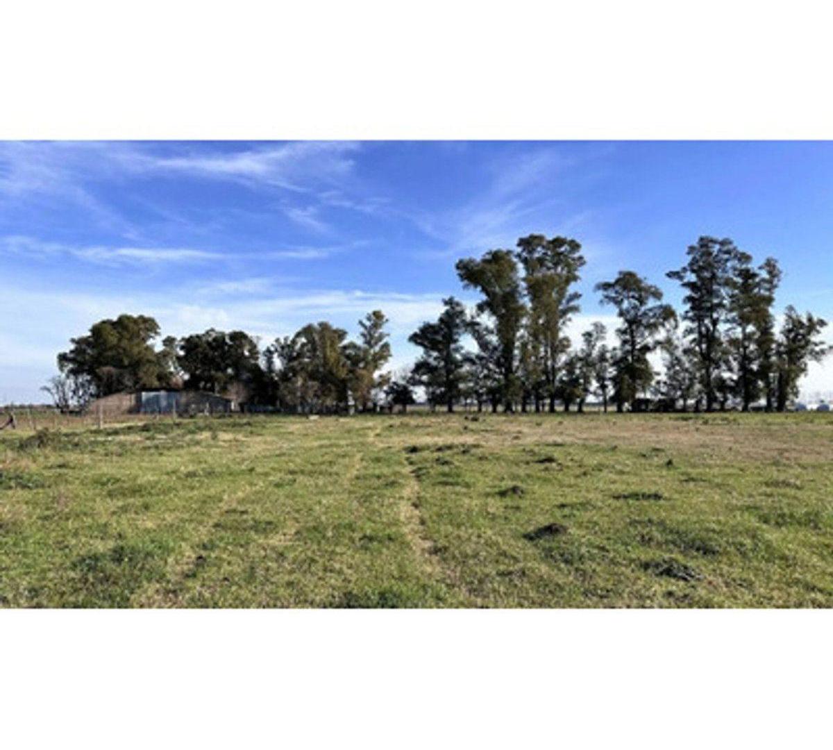 Venta Lote - 1000m2 - Villa de Campo Tres Pinos