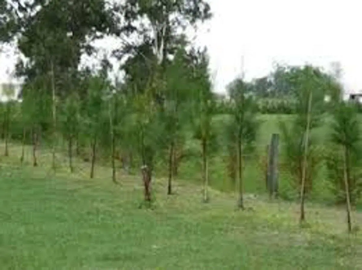 Venta Lote - 1000m2 - Villa de Campo Tres Pinos 3