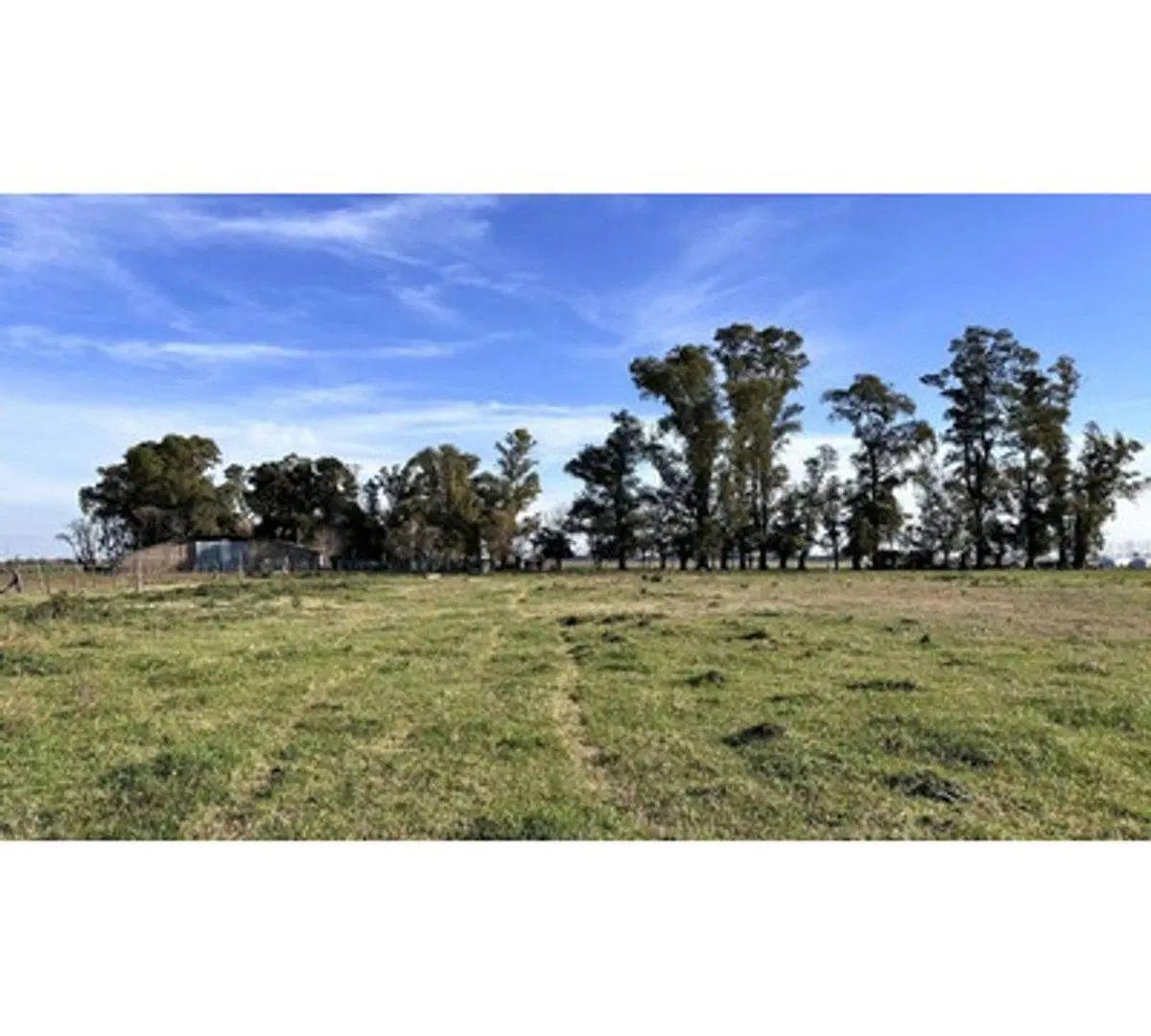 Venta Lote - 1000m2 - Villa de Campo Tres Pinos 4