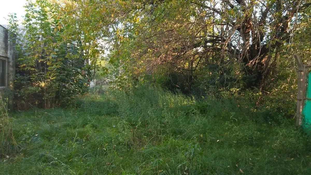 VENTA LOTE 2250 M2  PILAR 4