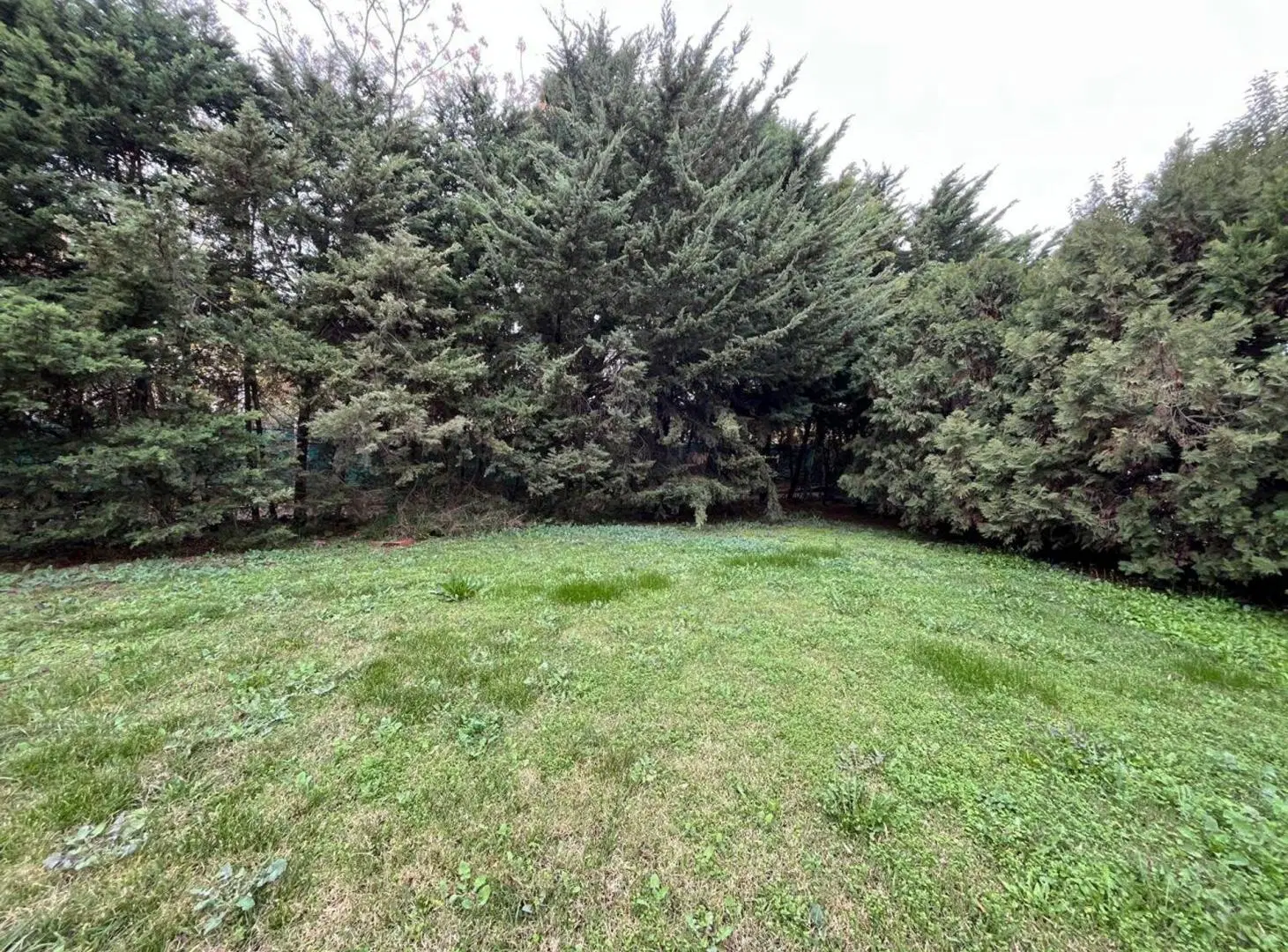 VENTA LOTE ALTOS DEL SOL ITUZAINGO/ACEPTA PERMUTA 4