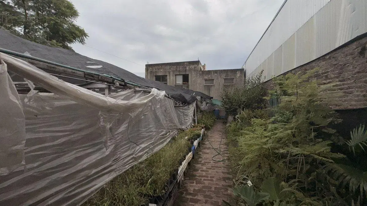 VENTA LOCAL SOBRE AVENIDA EN PALOMAR 4