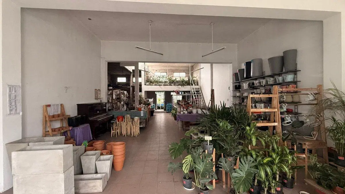 VENTA LOCAL SOBRE AVENIDA EN PALOMAR 2
