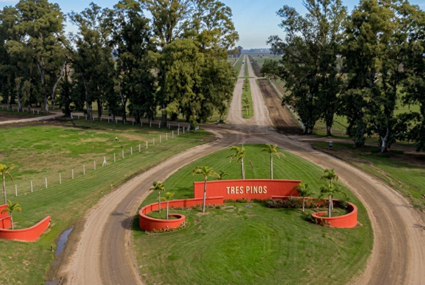 Venta Lote 1000m -B Las Casuarinas- Gral Rodriguez