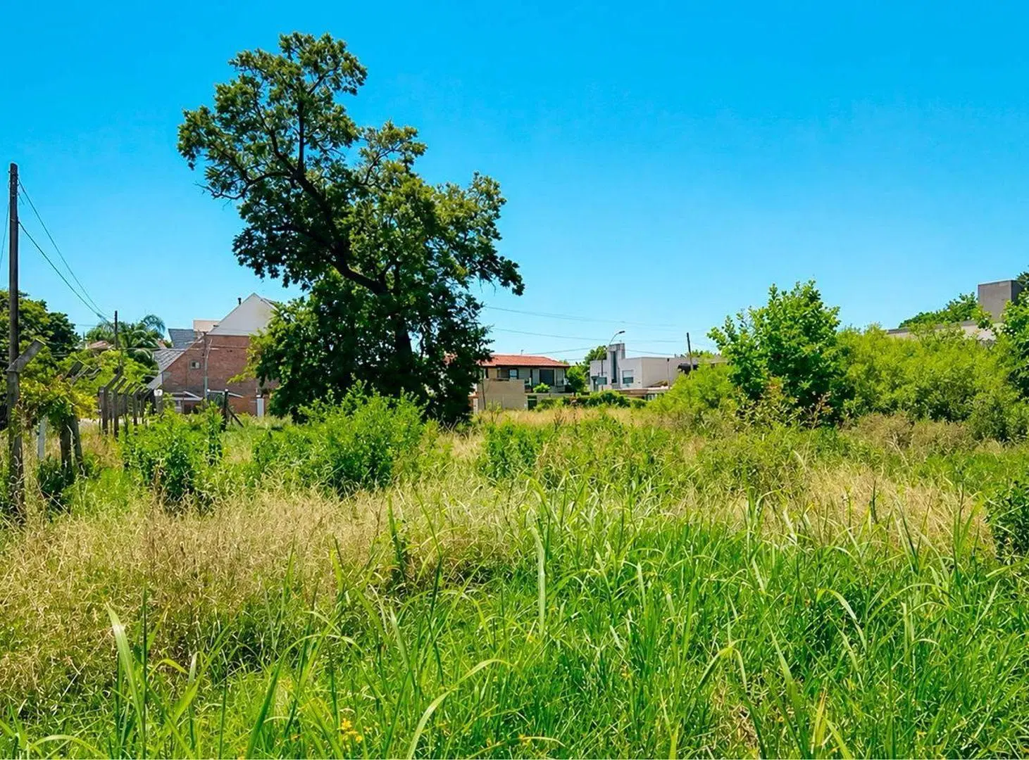 VENTA LOTE PALOMAR 5