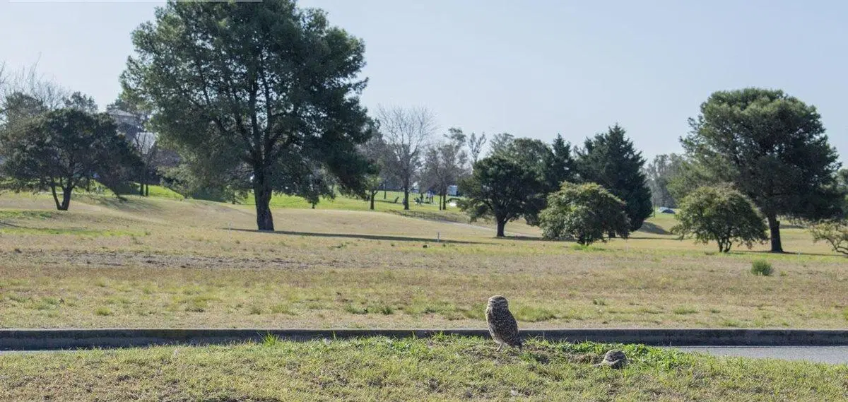 Venta de Terreno en Pilar Golf - oportunidad única 2