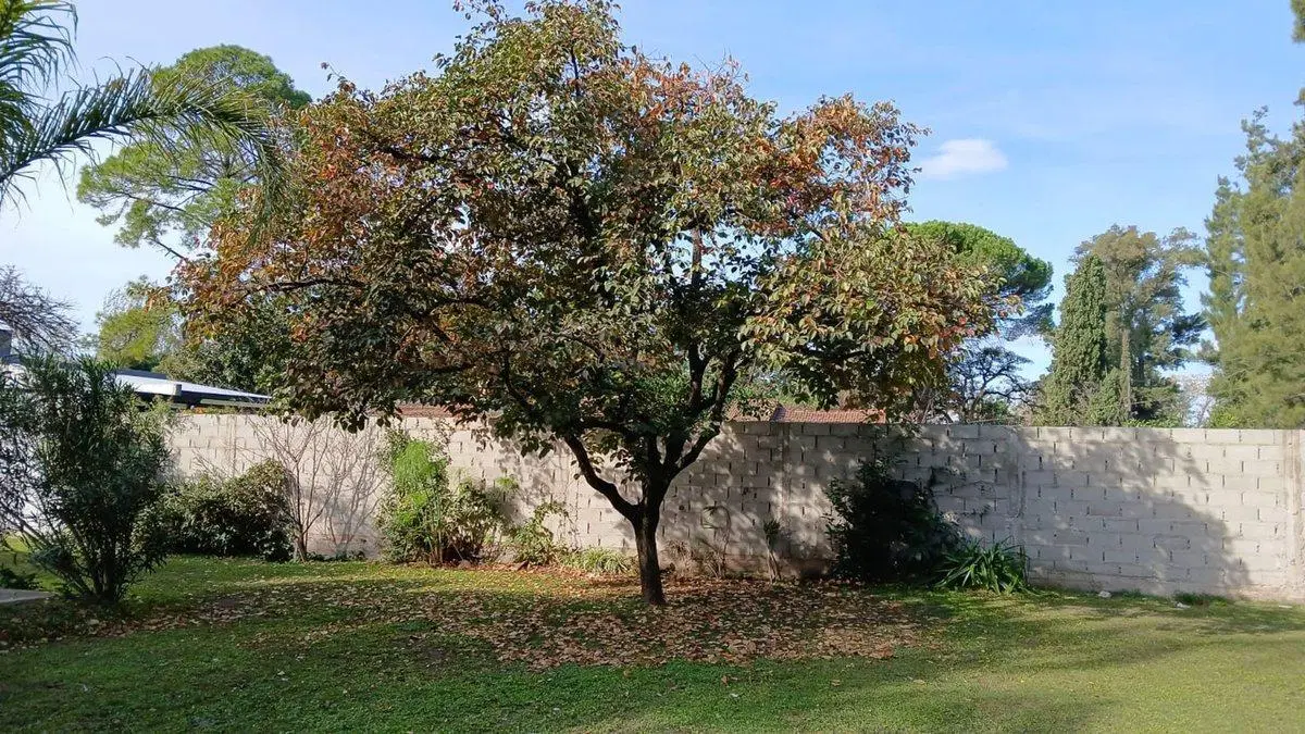 VENTA QUINTA CON PILETA Y AMPLIO JARDIN - 900m2 8