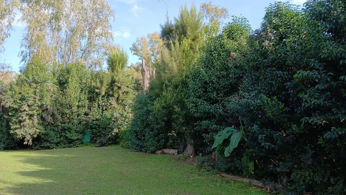 VENTA QUINTA CON PILETA Y AMPLIO JARDIN - 900m2 2
