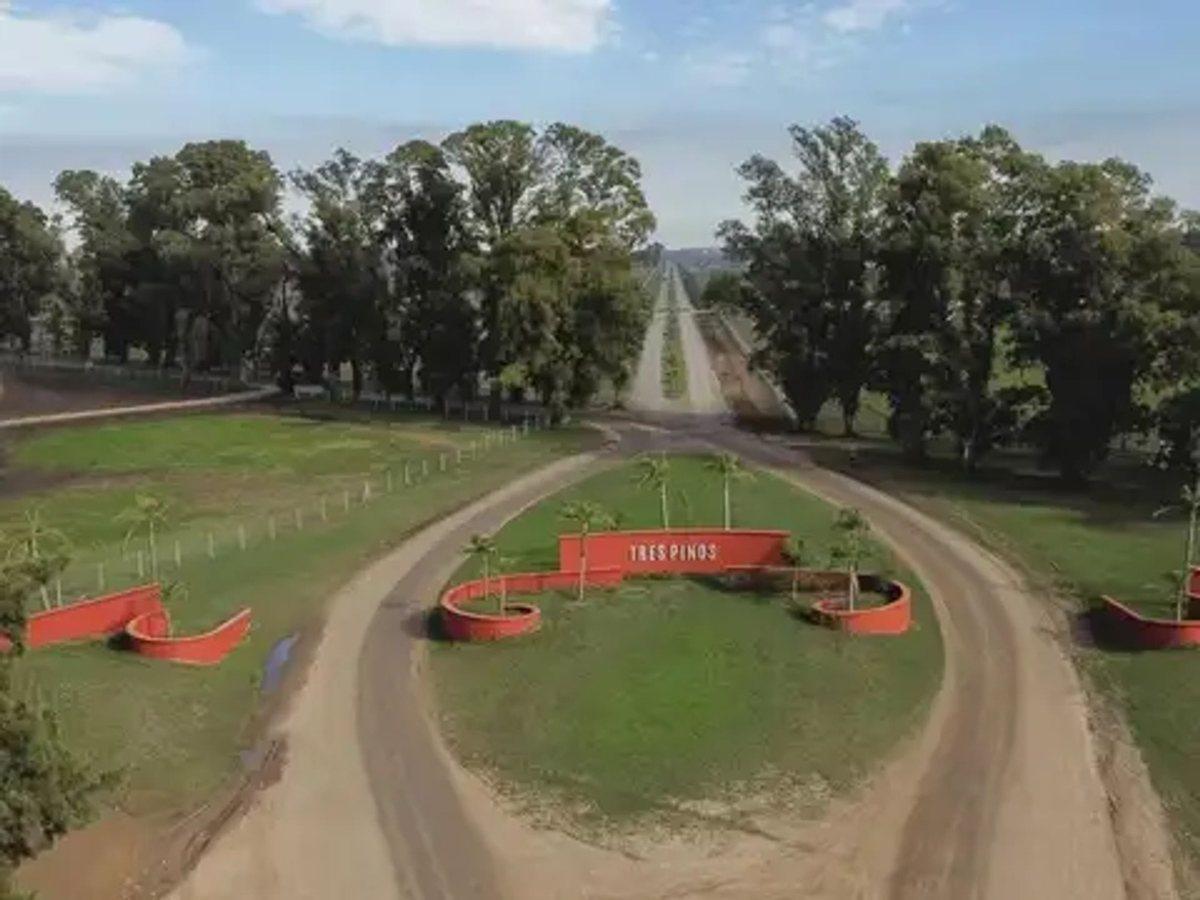 Foto de Venta Lote - 1000m2 - Villa de Campo Tres Pinos, imagen 2