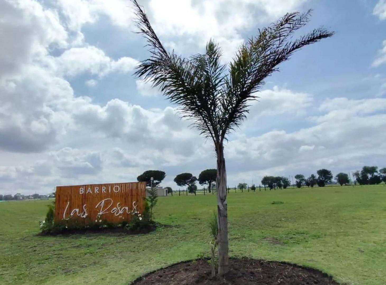 Foto de Venta Lote-Las Rosas-Mariano Acosta-636m- Cercado, imagen 5