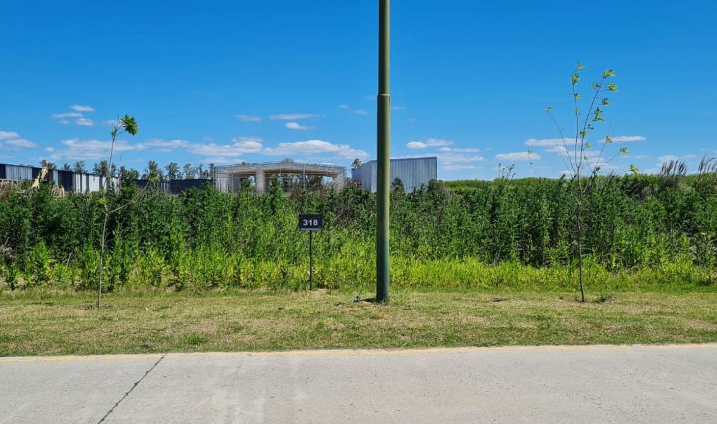 Foto de VENTA LOTE DE 5640M² EN POLO INDUSTRIAL DE EZEIZA, imagen 2