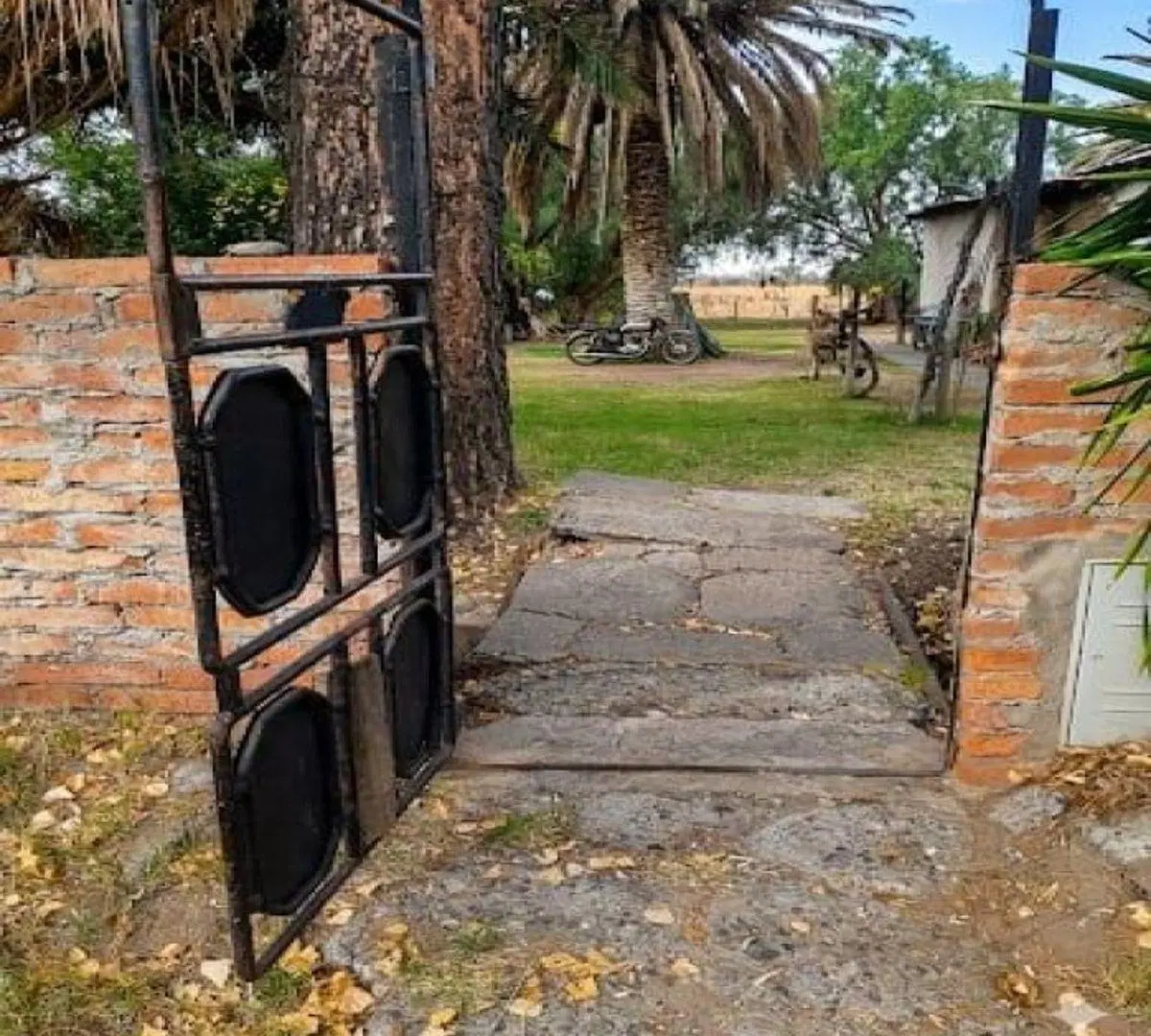 VENTA DE FINCA DE 6 HECTAREAS - SAN RAFAEL - MENDOZA 4