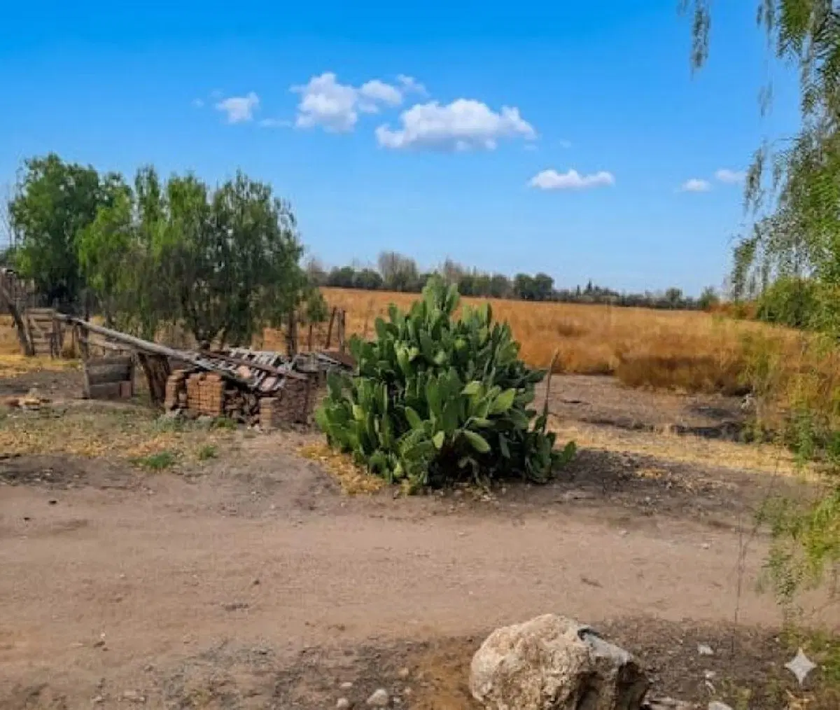VENTA DE FINCA DE 6 HECTAREAS - SAN RAFAEL - MENDOZA 3
