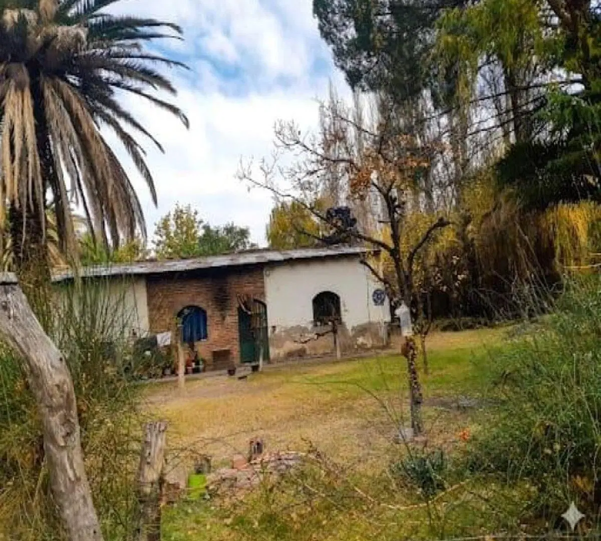 VENTA DE FINCA DE 6 HECTAREAS - SAN RAFAEL - MENDOZA 2