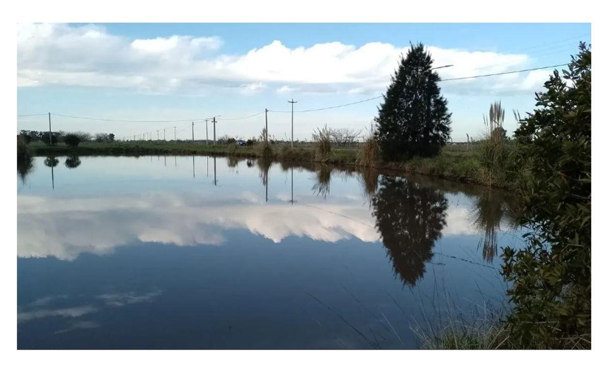 Foto de VENTA LOTE - CAMPOS DE ROCA 2 - BARRIO CERRADO - CORONEL BRANDSEN, imagen 5
