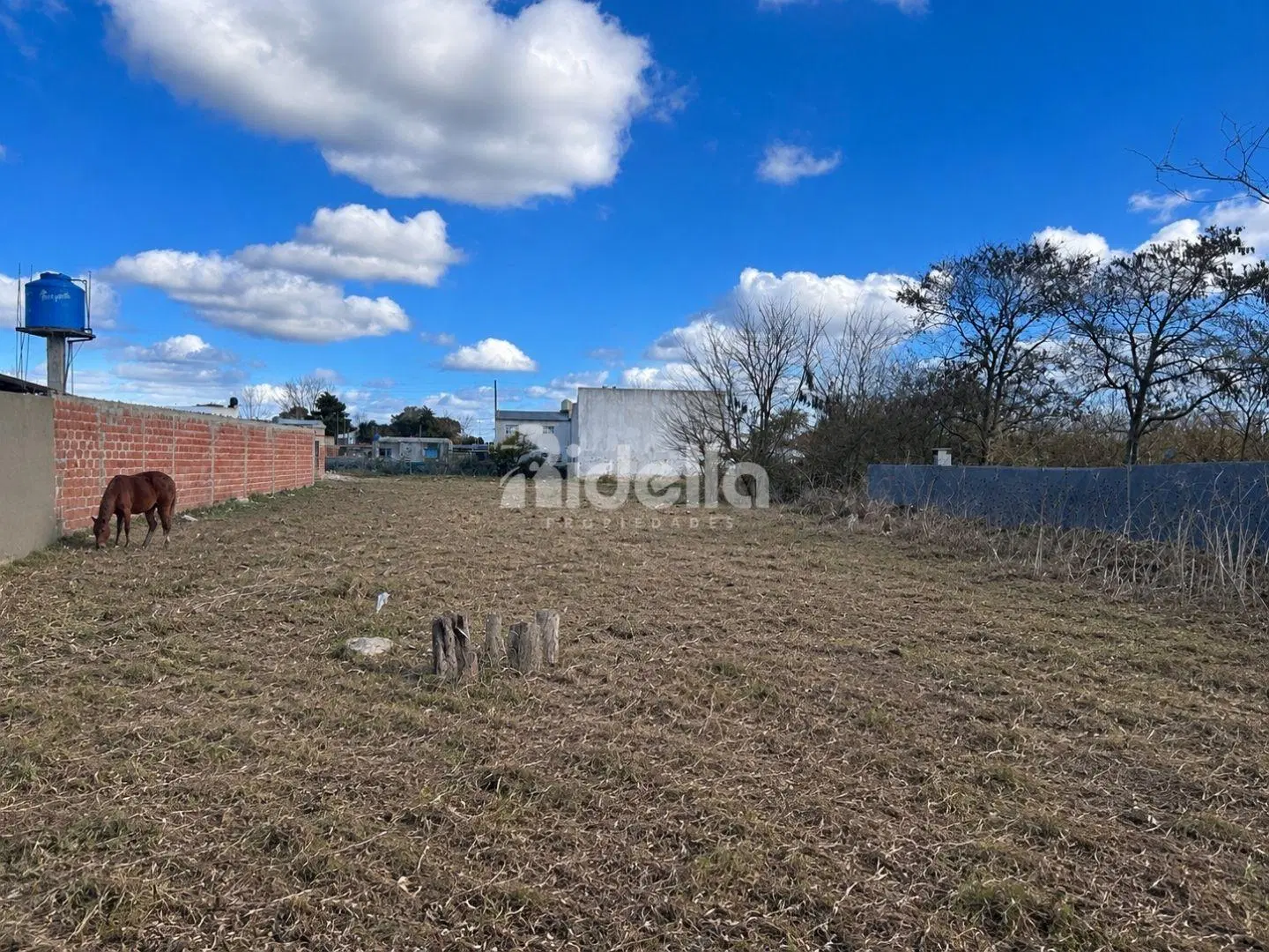 576 m² - lote 12×48 pavimentado con servicios ESCRITURAR INMEDIATA 4