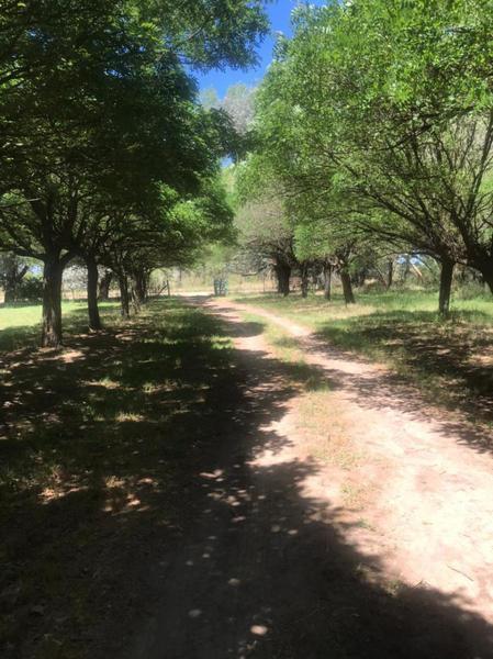 Foto de Venta Campo de 9HA con Casa y Galpón, imagen 3