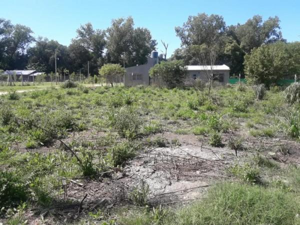 Lote en Venta en Francisco Alvarez 3