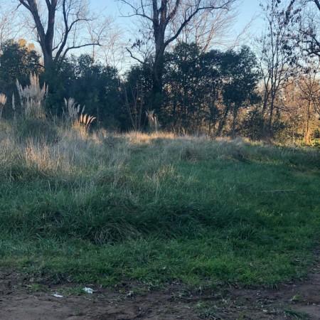 Lote en Venta en Francisco Alvarez 3