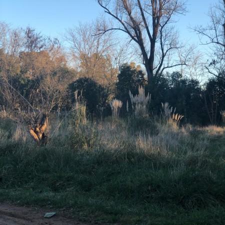 Lote en Venta en Francisco Alvarez 4