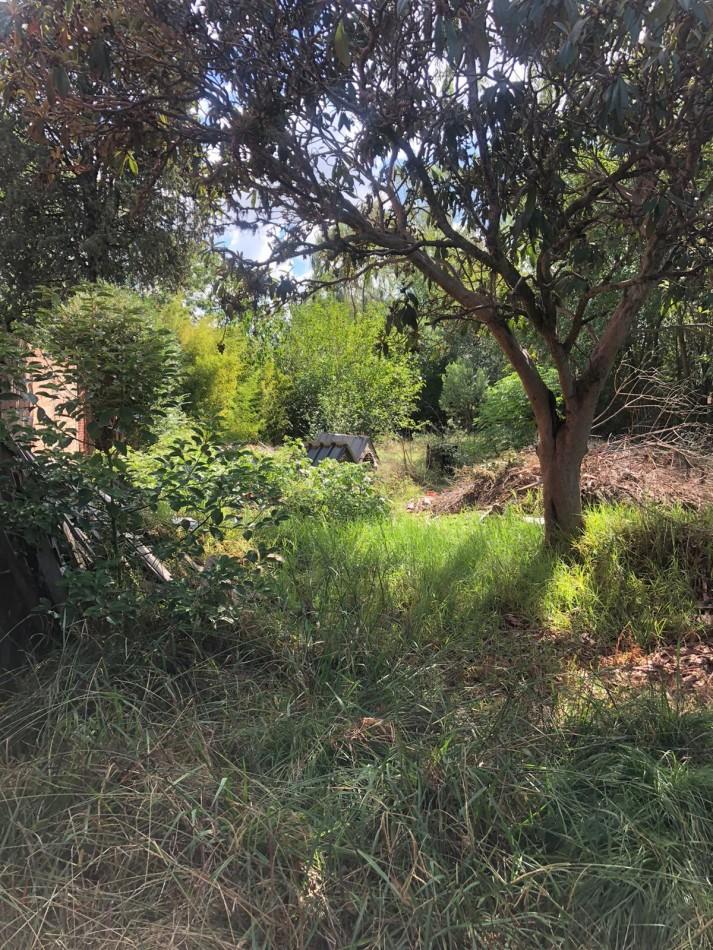 Lote en venta en Francisco Alvarez