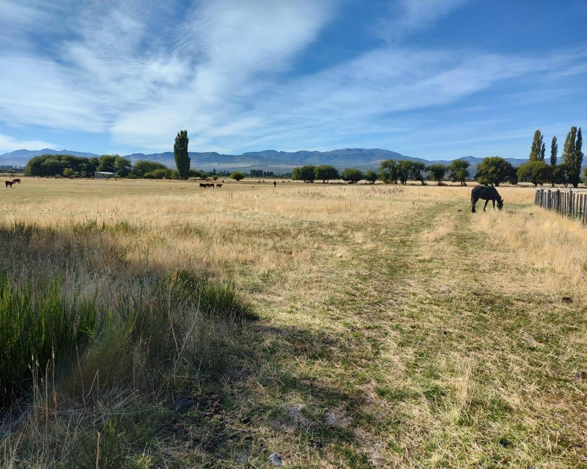 Venta Chacra de 15 Ha en Trevelín 1