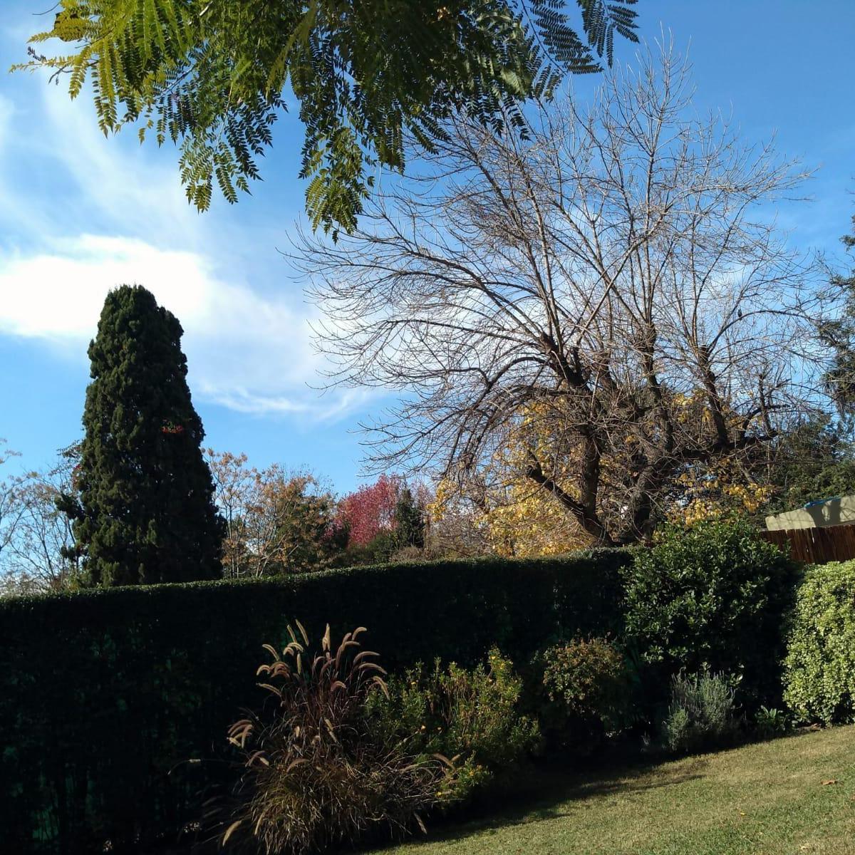 Espectacular Casa Quinta En Francisco Alvarez