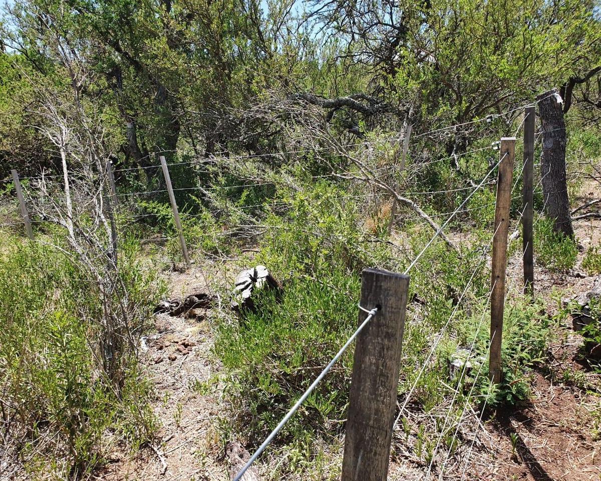 Lote En Cortaderas San Luis