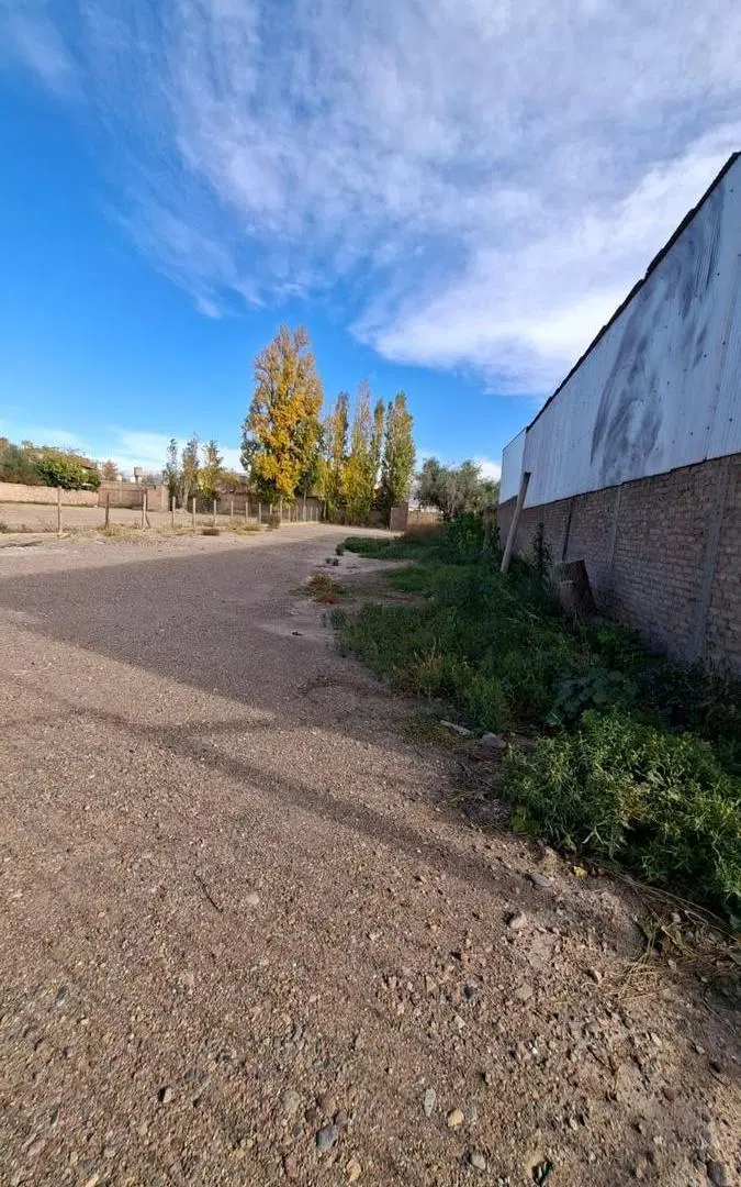 Alquilo Terreno - Luján de Cuyo 5