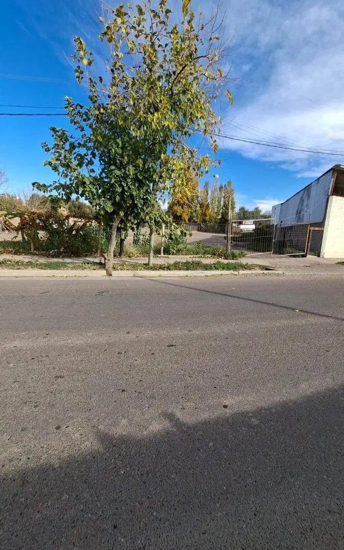 Alquilo Terreno - Luján de Cuyo 4