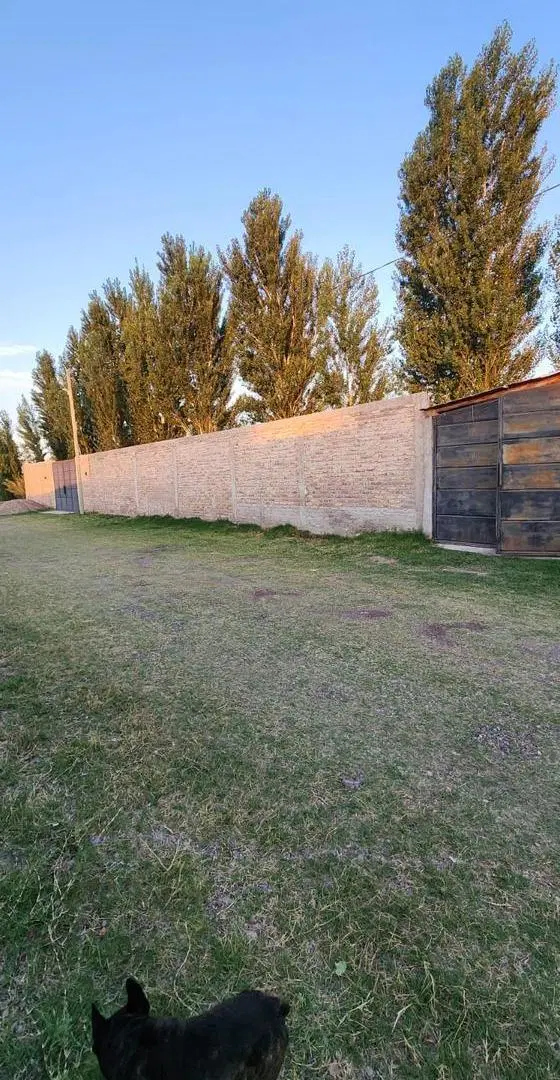 Finca en La Primavera 4