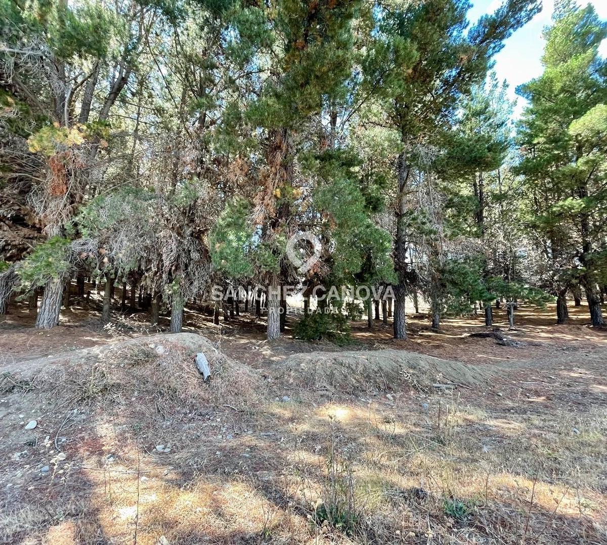 Terreno Lote en Venta en Bariloche, Patagonia, Argentina 3