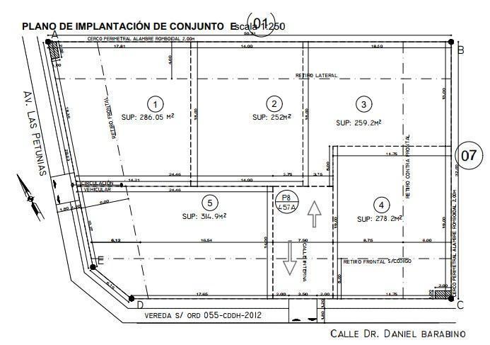 Plano 1