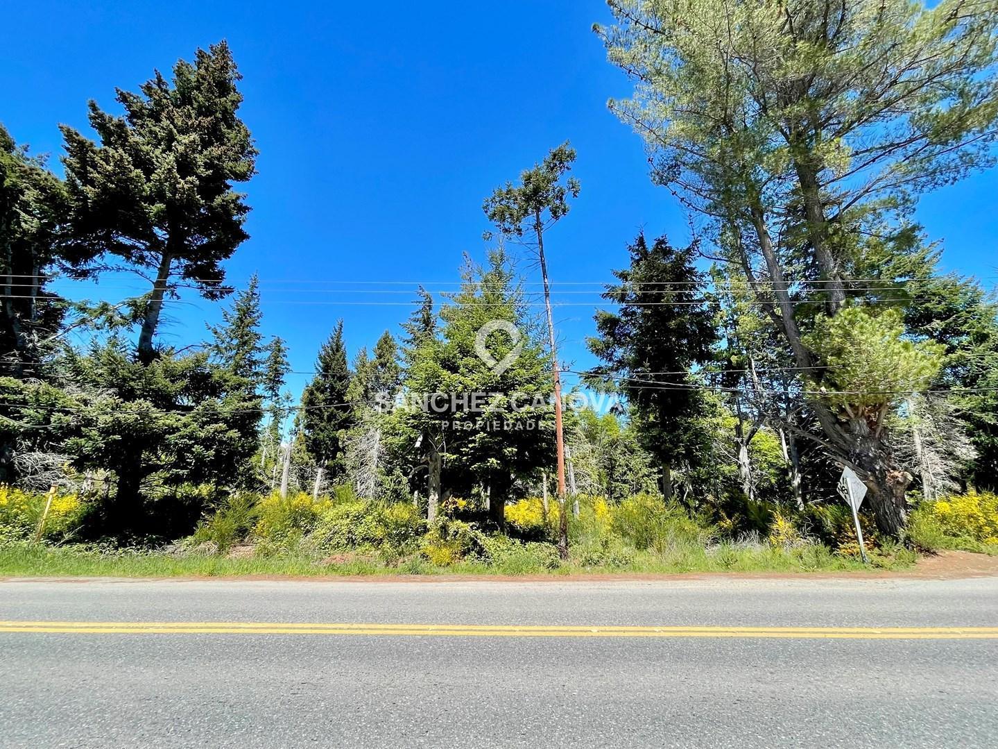 Foto de Terreno Lote en Venta en Villa Campanario, Bariloche, Patagonia, imagen 5