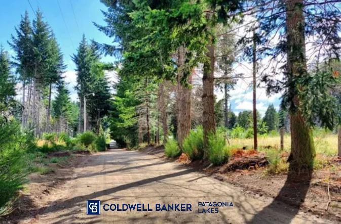 ¡Oportunidad! Lote de 939 m² en Venta en Bustillo Km 21 Bariloche 2