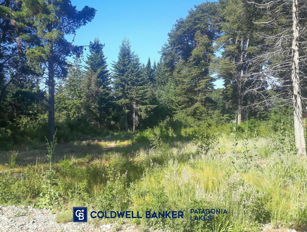 ¡Oportunidad! Lote de 939 m² en Venta en Bustillo Km 21 Bariloche 1