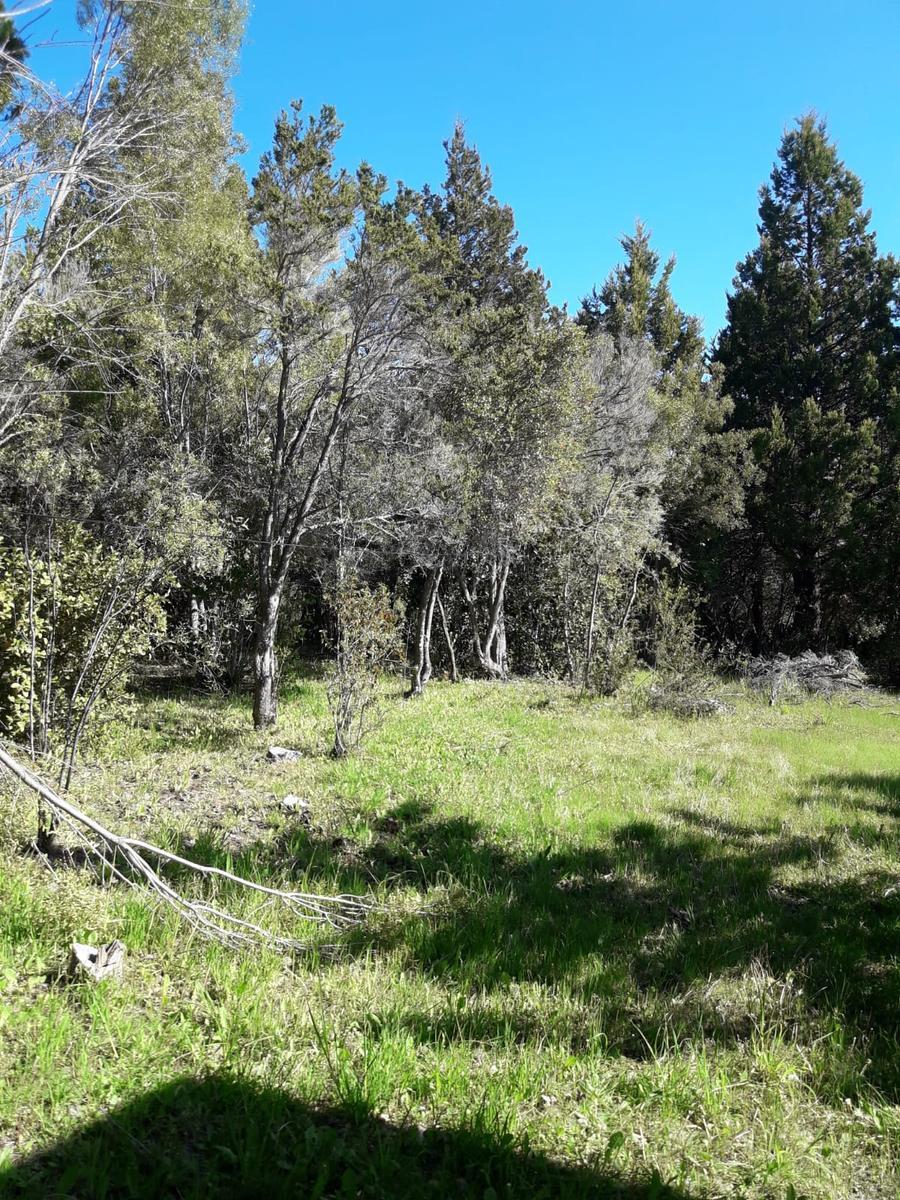 9 Ha a Los Pies del Cerro Piltriquitron 2