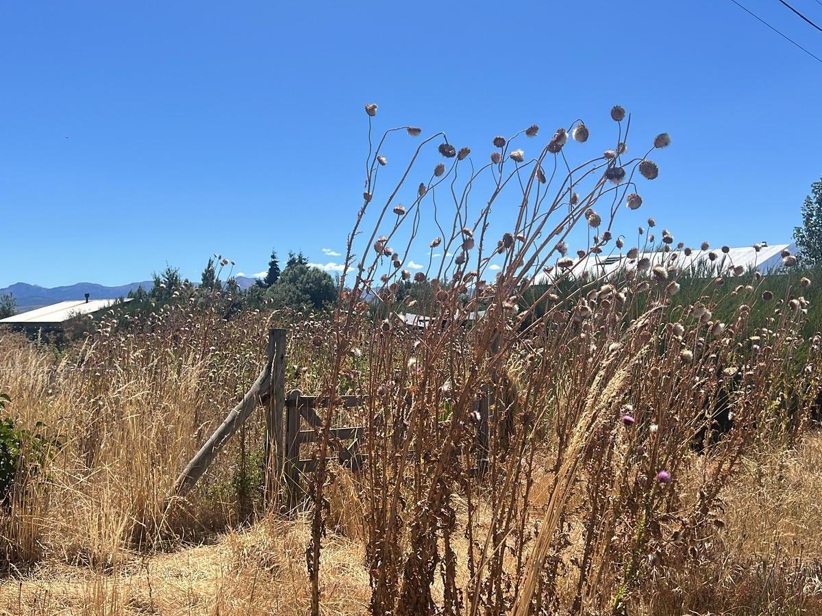 Terreno en Venta en PH en Dina Huapi Pilcaniyeu 3