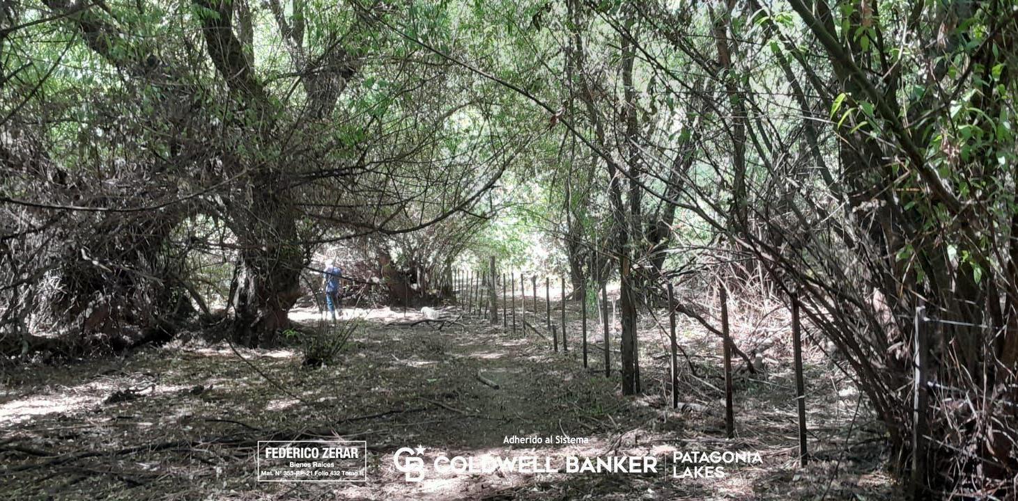 Foto de Campo 3.5ha en El Hoyo, Chubut, imagen 2
