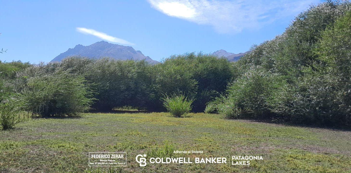 Foto de Campo 3.5ha en El Hoyo, Chubut, imagen 5