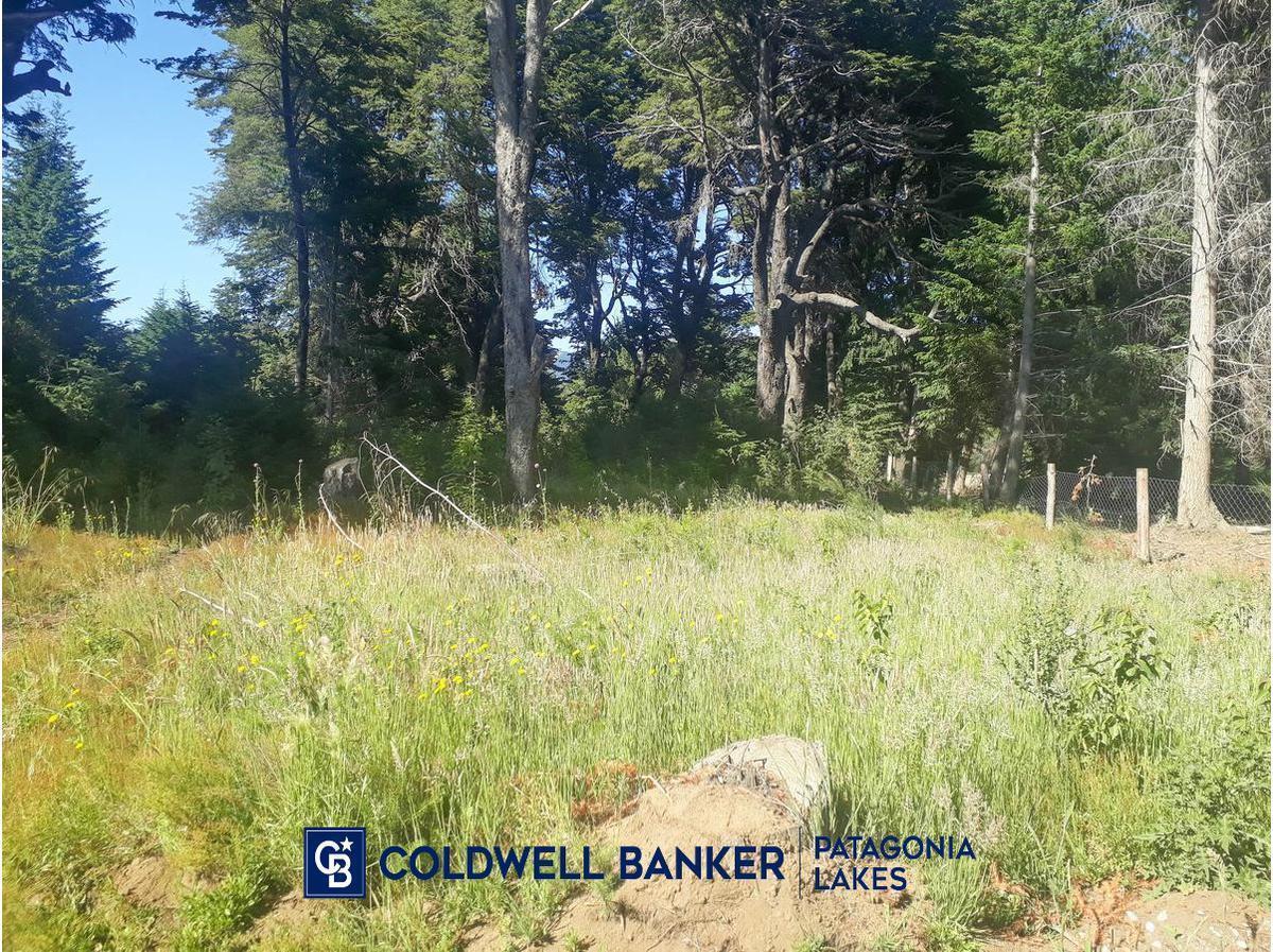 Foto de ¡Oportunidad! Lote de 939m2 en venta en Bustillo km 21 Bariloche, imagen 4