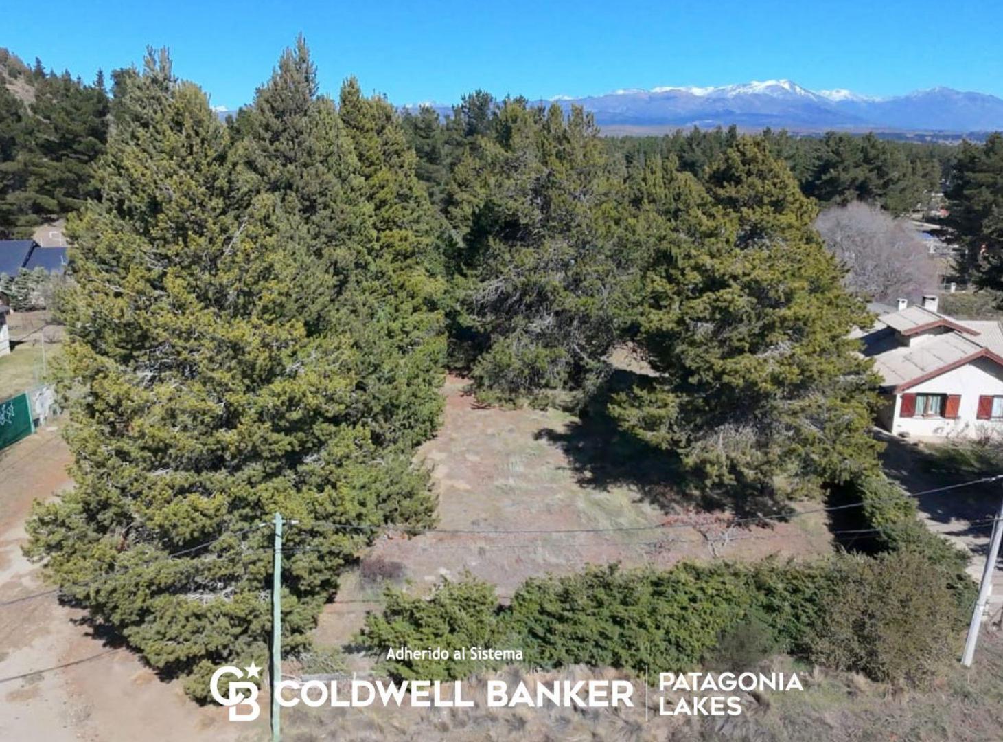 Foto de Terreno 2000m2 Apto PH en DINA HUAPI, imagen 3