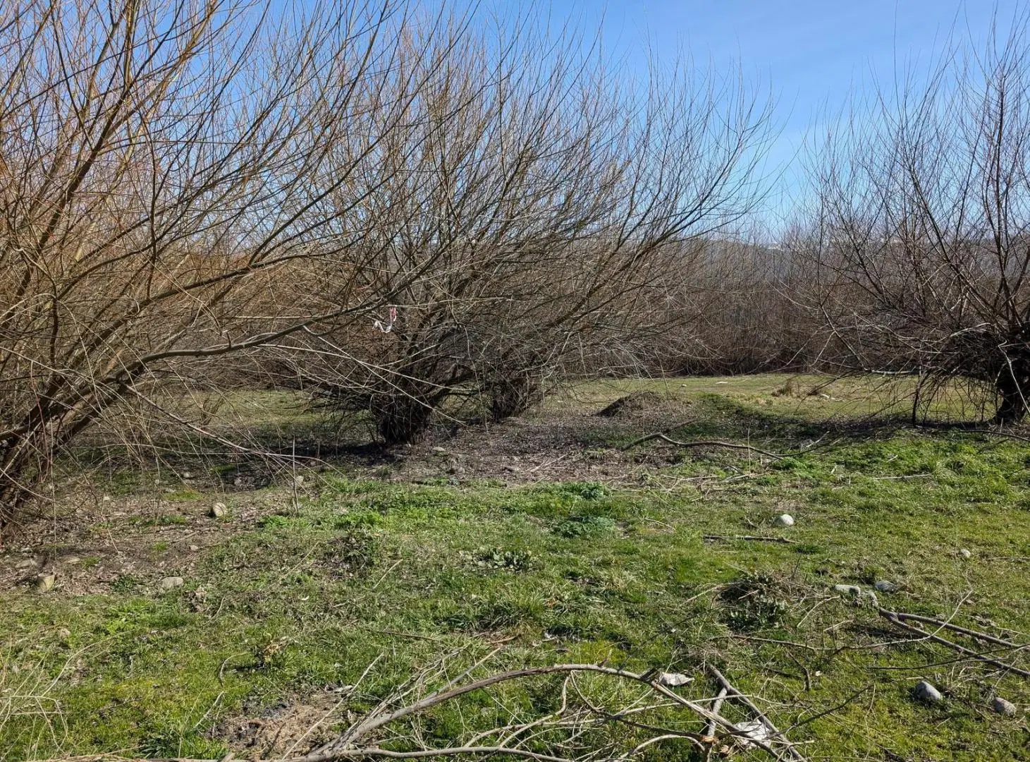 Terreno en venta N°16, barrio Los Alamos, El Bolsón, Río Negro 5