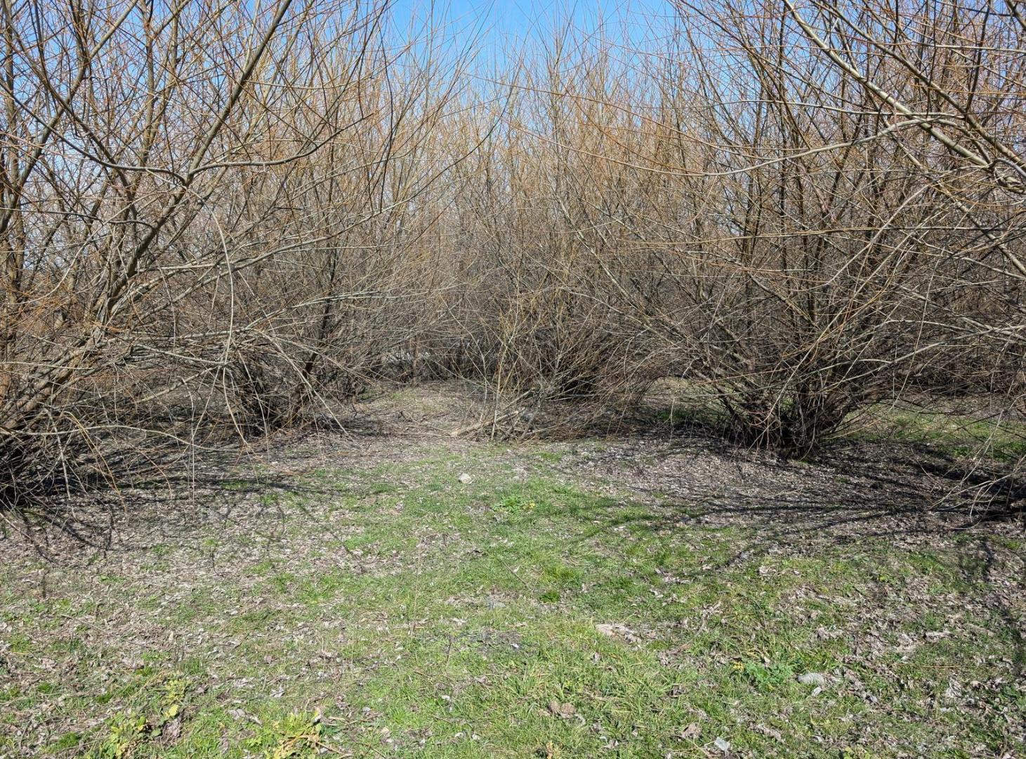 Foto de Terreno en venta N°16, barrio Los Alamos, El Bolsón, Río Negro, imagen 2