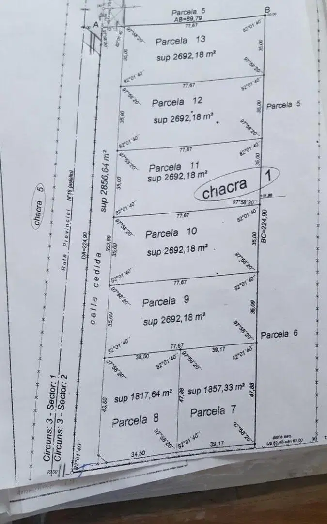 Plano 1