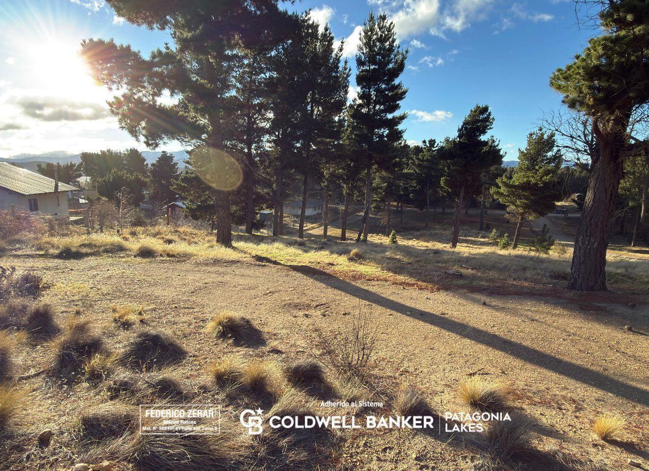 Foto de Terreno/lote en Dina Huapi - con financiación, imagen 2