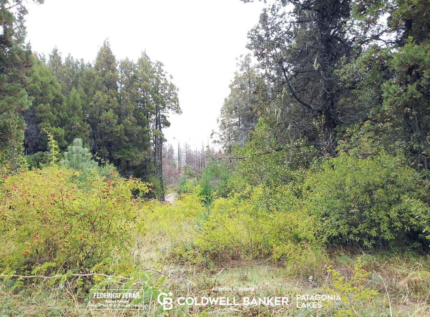 Foto de Terreno de 8148 m2 en Mallin Ahogado El Bolsón Río Negro, imagen 4