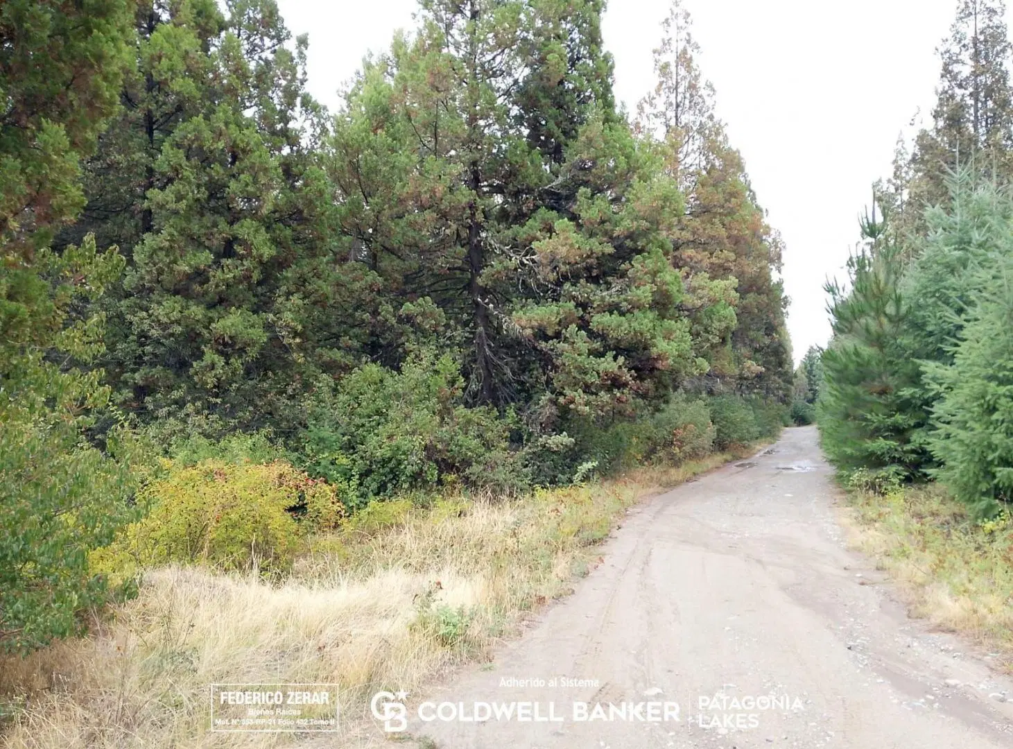 Terreno de 8148 m2 en Mallin Ahogado El Bolsón Río Negro 2