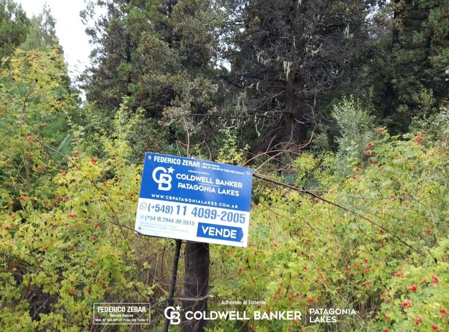 Terreno de 8148 m2 en Mallin Ahogado El Bolsón Río Negro 8